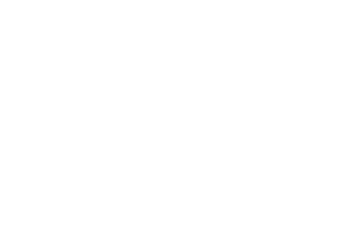 Pulse Webdesign official logo